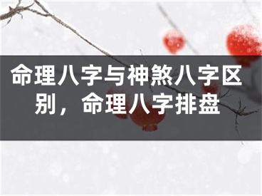 命理八字与神煞八字区别，命理八字排盘
