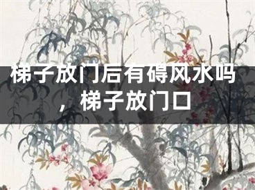 梯子放门后有碍风水吗，梯子放门口