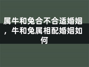 属牛和兔合不合适婚姻，牛和兔属相配婚姻如何