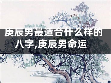 庚辰男最适合什么样的八字,庚辰男命运