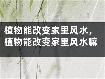 植物能改变家里风水，植物能改变家里风水嘛