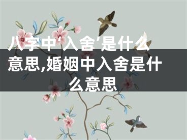 八字中‘入舍’是什么意思,婚姻中入舍是什么意思