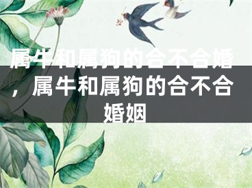 属牛和属狗的合不合婚，属牛和属狗的合不合婚姻