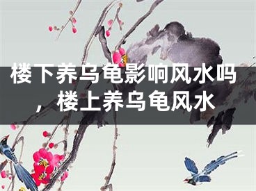 楼下养乌龟影响风水吗,楼上养乌龟风水