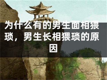 为什么有的男生面相猥琐,男生长相猥琐的原因