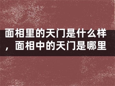 面相里的天门是什么样,面相中的天门是哪里