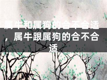 属牛和属狗的合不合适，属牛跟属狗的合不合适