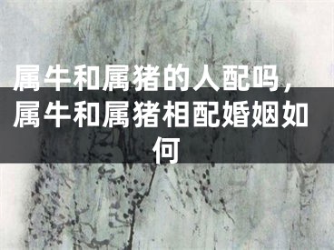 属牛和属猪的人配吗,属牛和属猪相配婚姻如何