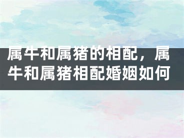 属牛和属猪的相配，属牛和属猪相配婚姻如何