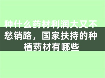 种什么药材利润大又不愁销路,国家扶持的种植药材有哪些
