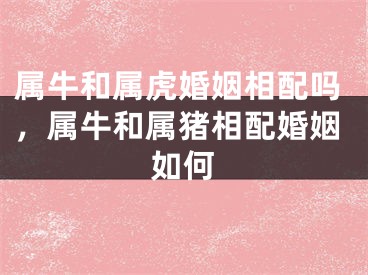 属牛和属虎婚姻相配吗，属牛和属猪相配婚姻如何