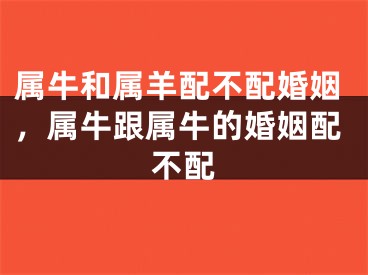 属牛和属羊配不配婚姻，属牛跟属牛的婚姻配不配