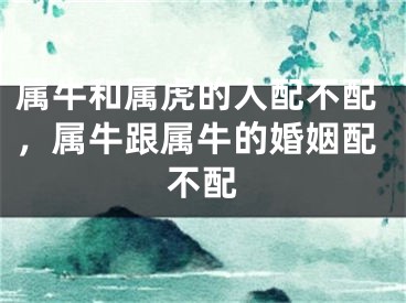 属牛和属虎的人配不配,属牛跟属牛的婚姻配不配