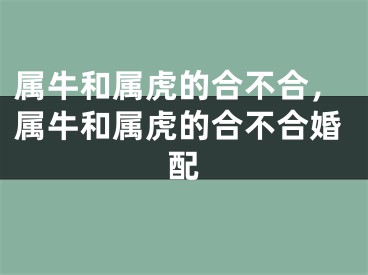 属牛和属虎的合不合，属牛和属虎的合不合婚配