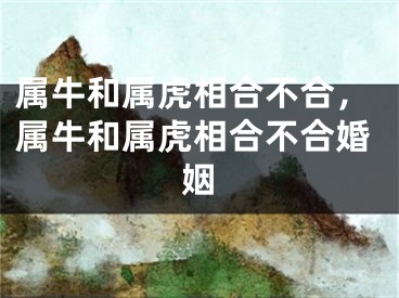 属牛和属虎相合不合，属牛和属虎相合不合婚姻