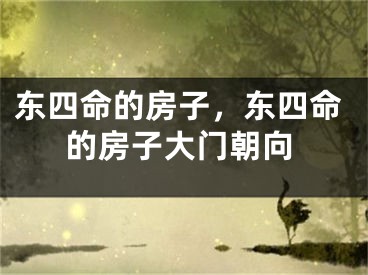 东四命的房子,东四命的房子大门朝向