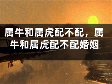 属牛和属虎配不配,属牛和属虎配不配婚姻