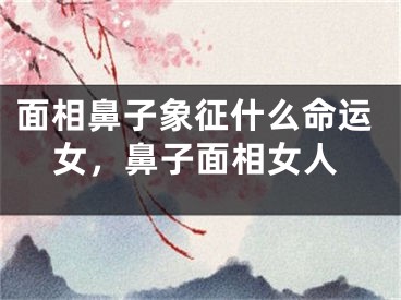 面相鼻子象征什么命运女，鼻子面相女人