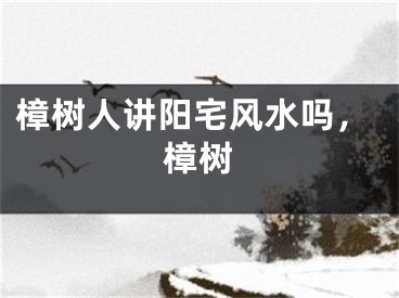 樟树人讲阳宅风水吗，樟树