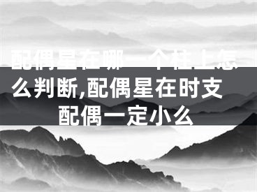 配偶星在哪一个柱上怎么判断,配偶星在时支配偶一定小么