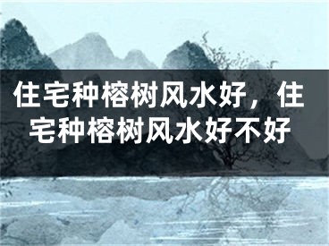 住宅种榕树风水好,住宅种榕树风水好不好