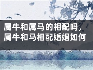 属牛和属马的相配吗，属牛和马相配婚姻如何