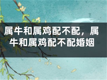 属牛和属鸡配不配，属牛和属鸡配不配婚姻