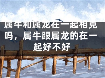 属牛和属龙在一起相克吗，属牛跟属龙的在一起好不好