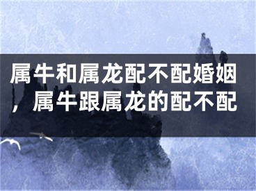 属牛和属龙配不配婚姻，属牛跟属龙的配不配