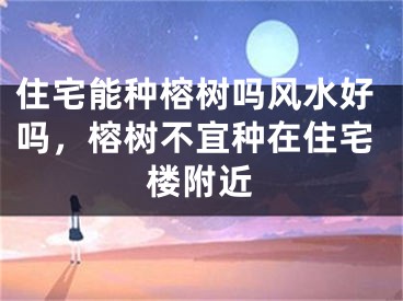 住宅能种榕树吗风水好吗，榕树不宜种在住宅楼附近