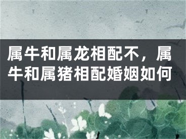 属牛和属龙相配不，属牛和属猪相配婚姻如何