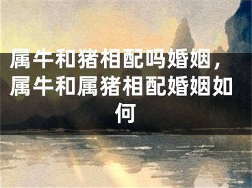 属牛和猪相配吗婚姻，属牛和属猪相配婚姻如何