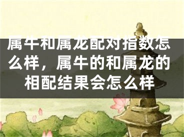 属牛和属龙配对指数怎么样,属牛的和属龙的相配结果会怎么样