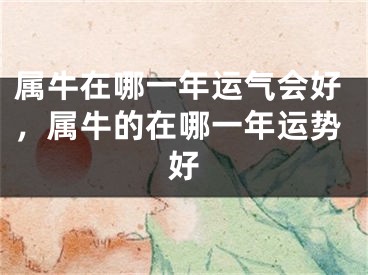 属牛在哪一年运气会好，属牛的在哪一年运势好