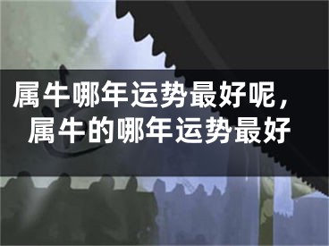 属牛哪年运势最好呢，属牛的哪年运势最好