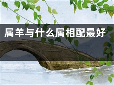 属羊与什么属相配最好