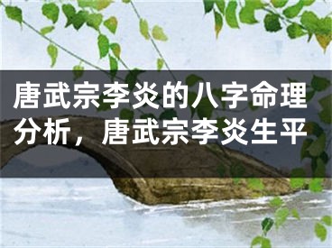 唐武宗李炎的八字命理分析，唐武宗李炎生平