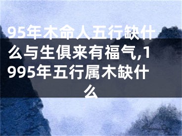 95年木命人五行缺什么与生俱来有福气,1995年五行属木缺什么