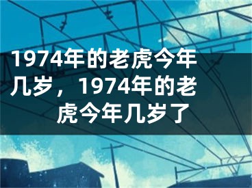 1974年的老虎今年几岁，1974年的老虎今年几岁了