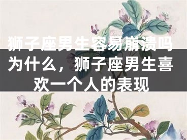 狮子座男生容易崩溃吗为什么,狮子座男生喜欢一个人的表现