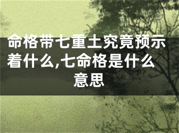 命格带七重土究竟预示着什么,七命格是什么意思
