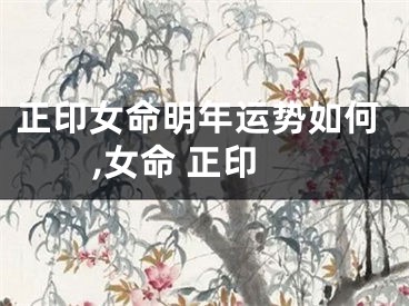 正印女命明年运势如何,女命 正印
