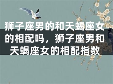 狮子座男的和天蝎座女的相配吗，狮子座男和天蝎座女的相配指数