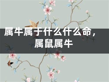 属牛属于什么什么命，属鼠属牛