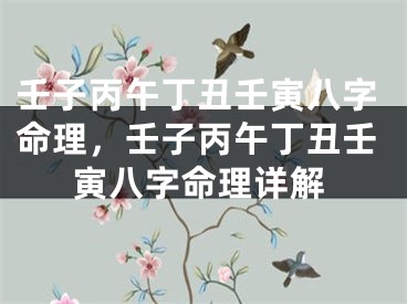 壬子丙午丁丑壬寅八字命理，壬子丙午丁丑壬寅八字命理详解
