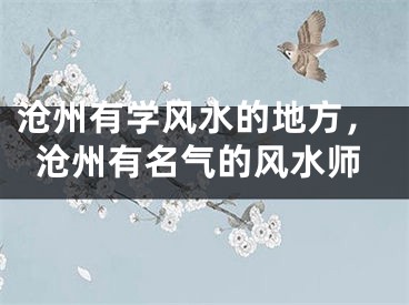 沧州有学风水的地方，沧州有名气的风水师