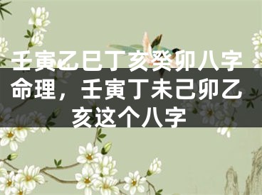 壬寅乙巳丁亥癸卯八字命理，壬寅丁未己卯乙亥这个八字