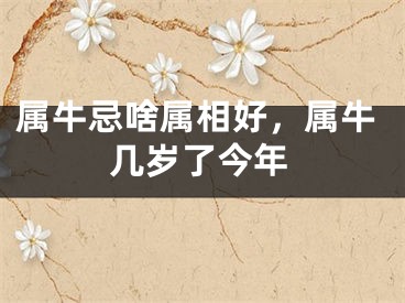 属牛忌啥属相好，属牛几岁了今年