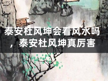 泰安杜风坤会看风水吗，泰安杜风坤真厉害