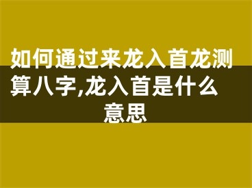 如何通过来龙入首龙测算八字,龙入首是什么意思